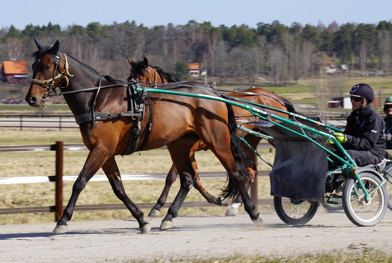 Ilsken 260413-1